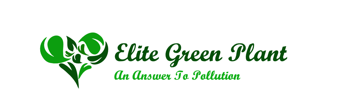 Elite Green Plant